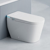 Dowell Smart Toilet With water tank, Auto cover open/close, No water pressure limitation,Whisper-quiet flushing - 093 Series