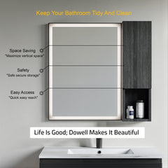 Dowell 9" Wall-Mounted Bathroom Cabinet, Soft-Close Door, Three Shelves