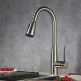 Dowell Kitchen Sink Faucet - 8002 005 Series - High Arc, Pull-Down Sprayer, Single Handle, Single Hole