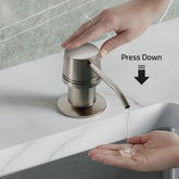 Dowell Kitchen Soap and Lotion Dispenser in Stainless Steel