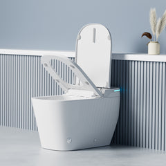 Dowell Smart Toilet With water tank, Auto cover open/close, No water pressure limitation,Whisper-quiet flushing - 093 Series