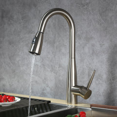 Dowell Kitchen Sink Faucet - High Arc, Pull-Down Sprayer, Single Handle, Single Hole - 8002 005 Series